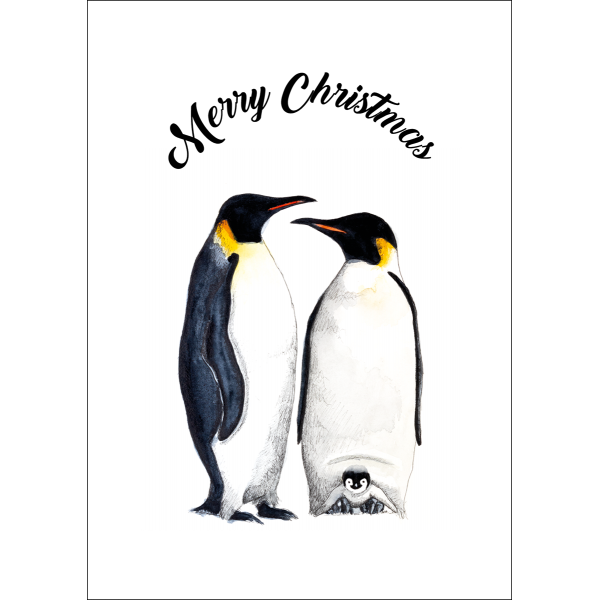 Ansichtkaart Kerst Pinguins - 10 stuks Ansichtkaart Kerst Pinguins - 10 stuks