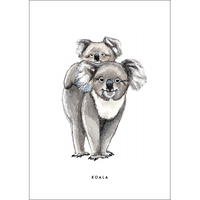 Ansichtkaart Koala - 10 stuks