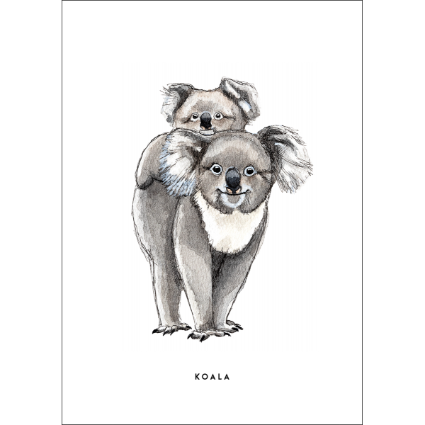 Ansichtkaart Koala - 10 stuks Ansichtkaart Koala - 10 stuks