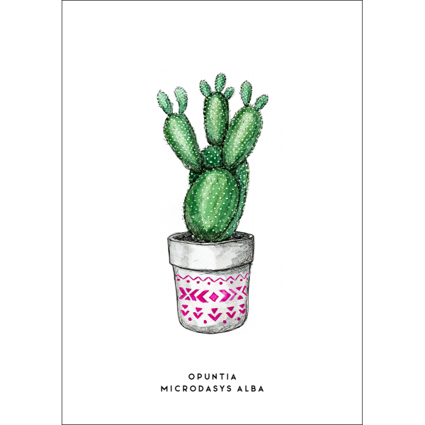 Ansichtkaart Plant Cactus - 10 stuks