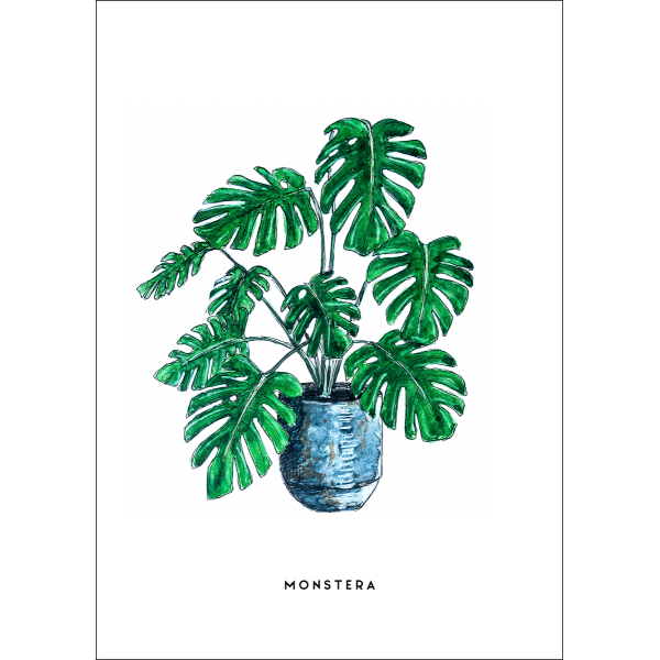 Ansichtkaart Plant Monstera - 10 stuks Ansichtkaart Plant Monstera - 10 stuks