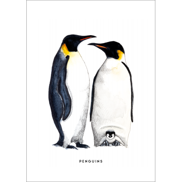Ansichtkaart Pinguins - 10 stuks Ansichtkaart Pinguins - 10 stuks