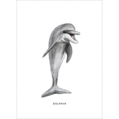 Ansichtkaart Dolfijn - 10 stuks