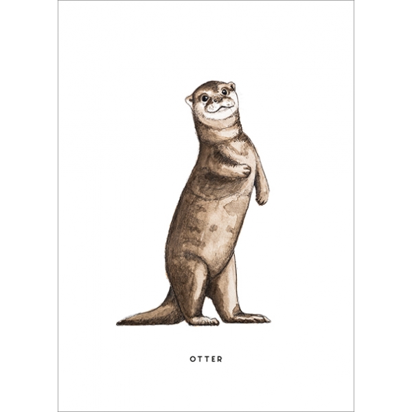 Ansichtkaart Otter - 10 stuks