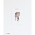 Ansichtkaart Luipaard - 10 stuks