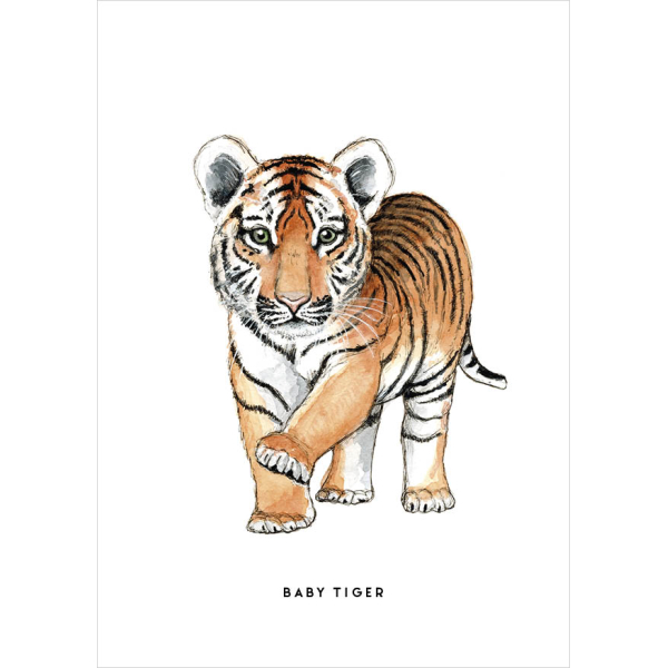 Kaart Baby Tijger 10 st. Kaart Baby Tijger 10 st.