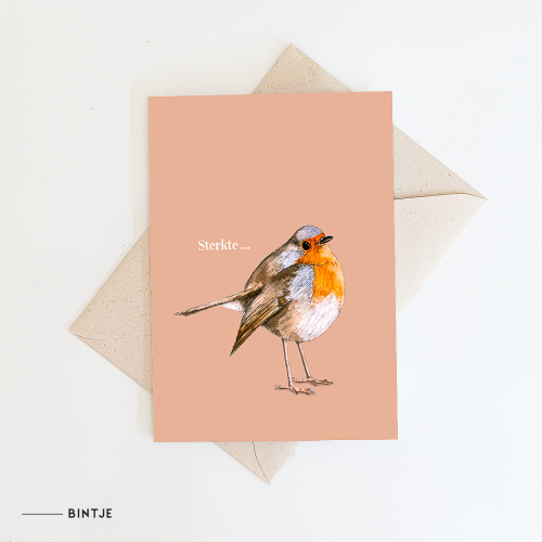 Greeting card Robin - 10 pieces