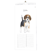 Birthday calender animals - 6 pieces