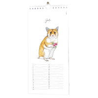 Birthday calender animals - 6 pieces