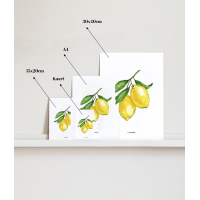 A. 15x20 poster Axolotl 6 st.