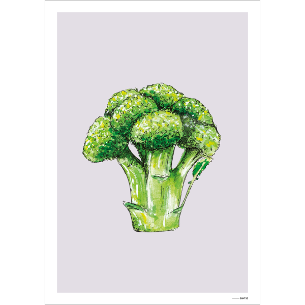 Poster Food Broccoli 15x20cm Poster Food Broccoli 15x20cm