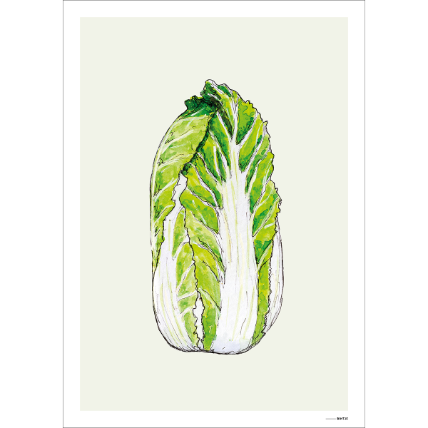 Poster Food Kool 15x20cm Poster Food Kool 15x20cm