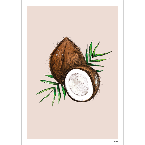 Poster Food Cocosnoot 15x20cm Poster Food Cocosnoot 15x20cm