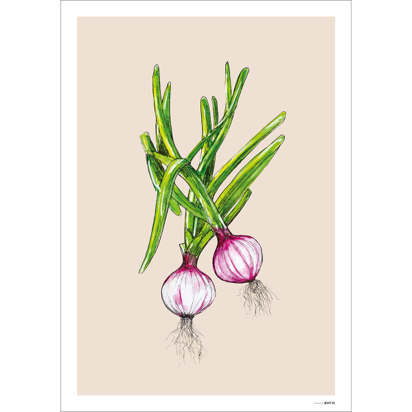 Poster Food Uitjes 15x20cm Poster Food Uitjes 15x20cm
