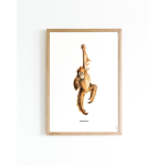 A. Poster Aap A4 6 st.