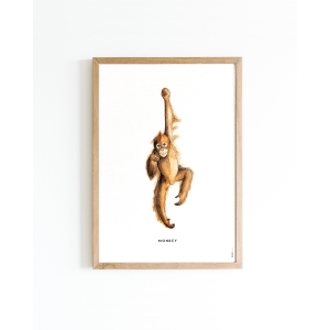 Mini poster monkey 15x20 6 st.