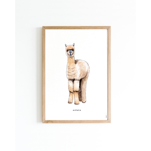 Mini poster Alpaca 15x20 6 st.