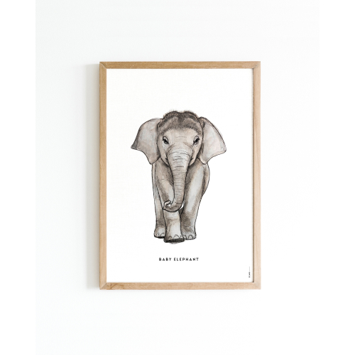 Poster Baby Olifant A4 6 st.