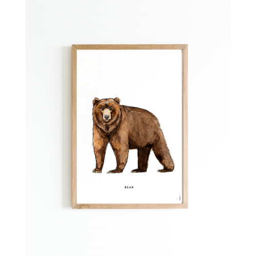 Poster Bear A4 6 st.
