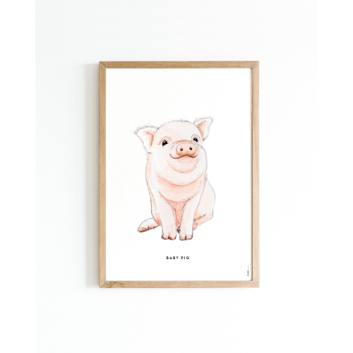 Poster Baby Pig A4 6 st.