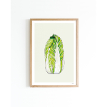 Poster F Cabbage A4 4 st.