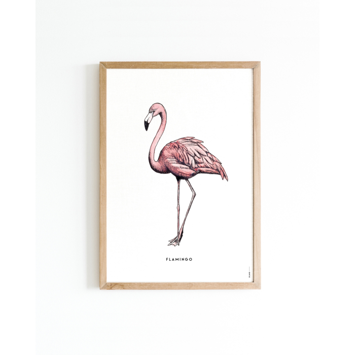 Poster Flamingo 30x40 6 st.
