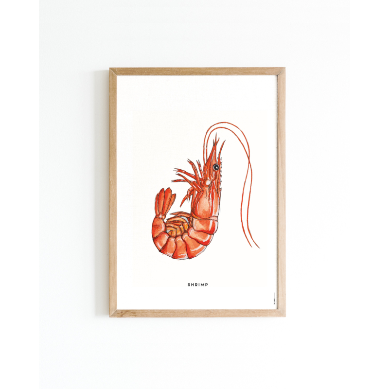 A. Poster Garnaal A4 6 st.