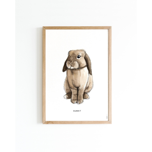 Mini poster Rabbit 15x20 6 st