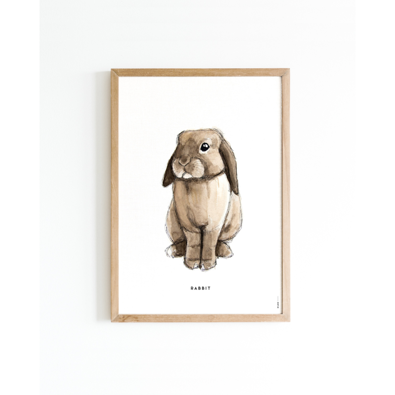 A. Poster Konijn A4 6 st.