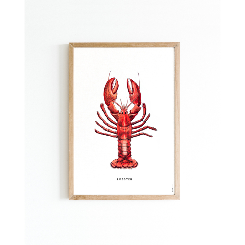 Mini poster Lobster 15x20 6 st