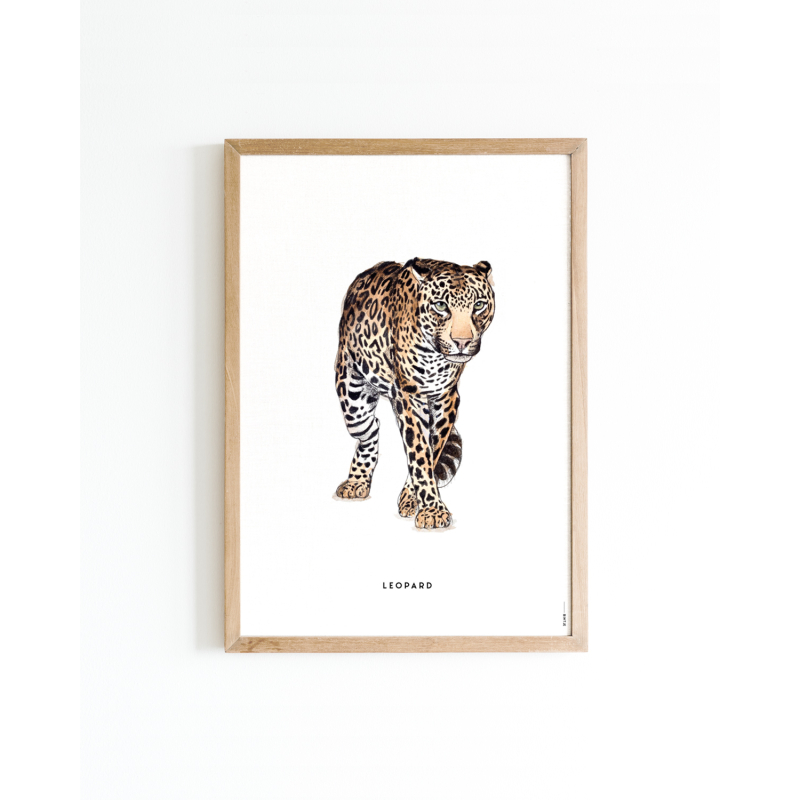 Poster Leopard A4 6 st.