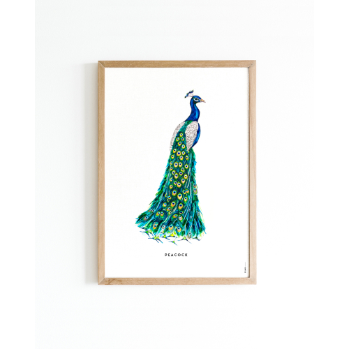 Poster Peacock A4 6 st.