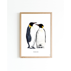 Poster Pinguins 30x40 4 st.