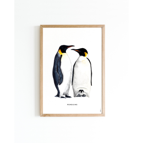 Poster Pinguins A4 6 st.