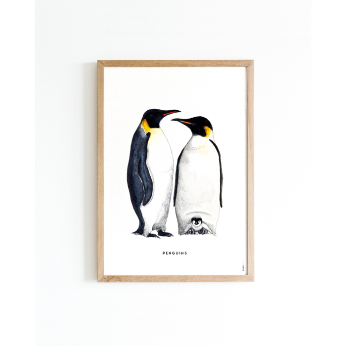 Poster Pinguins 30x40 6 st.