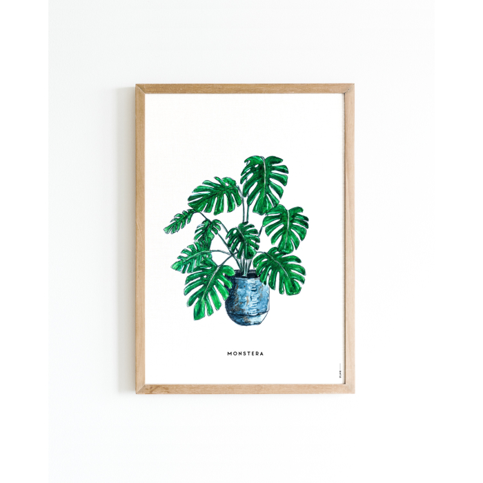Poster Plant Monstera A4 6 st.