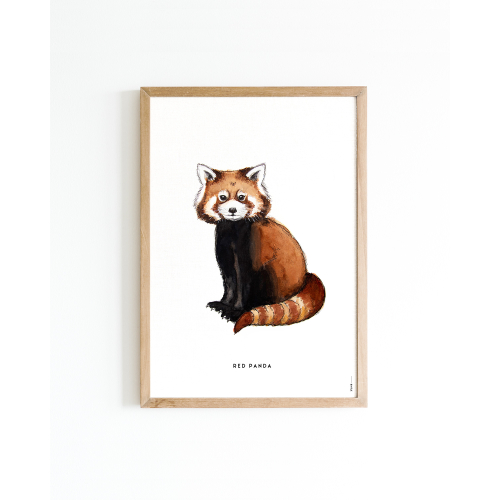 Poster Rode Panda A4 6 st.