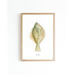 Poster plaice A4 6 st.