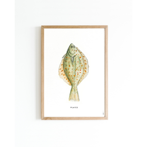 Poster plaice A4 6 st.