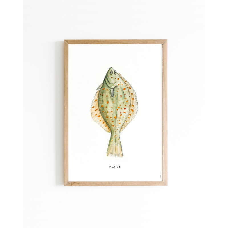 Poster plaice A4 6 st.