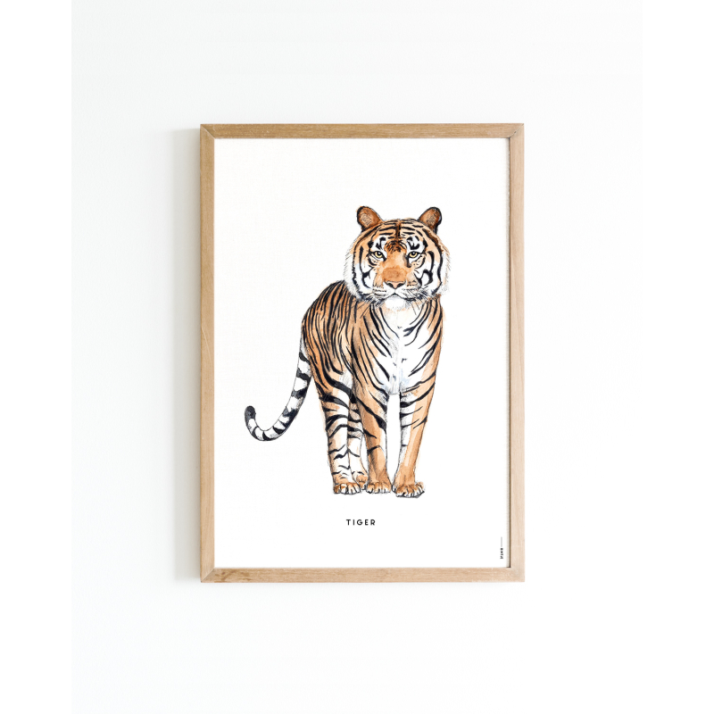 Poster Tiger A4 6 st.