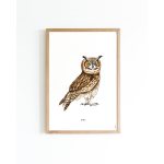 Poster Owl A4 6 st.