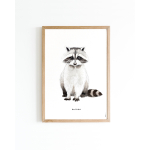Poster Racoon A4 6 st.