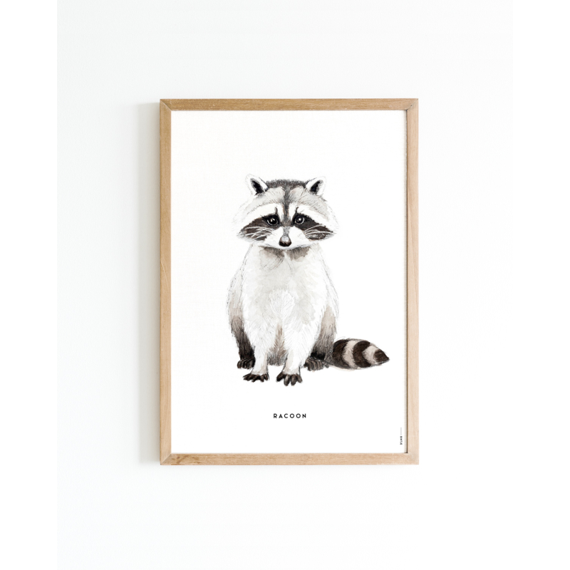 Poster Racoon A4 6 st.