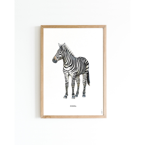 Poster Zebra 30x40 4 p