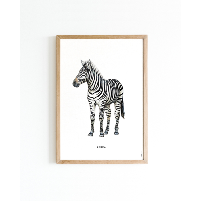 Poster Zebra A4 6 st.