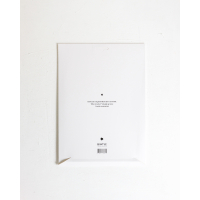 A. Poster Zwaan A4 6 st.