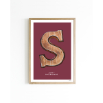 15x20 poster F Sint Chocoladeletter 6 st.