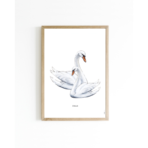 Mini poster Swan 15x20 6 st.