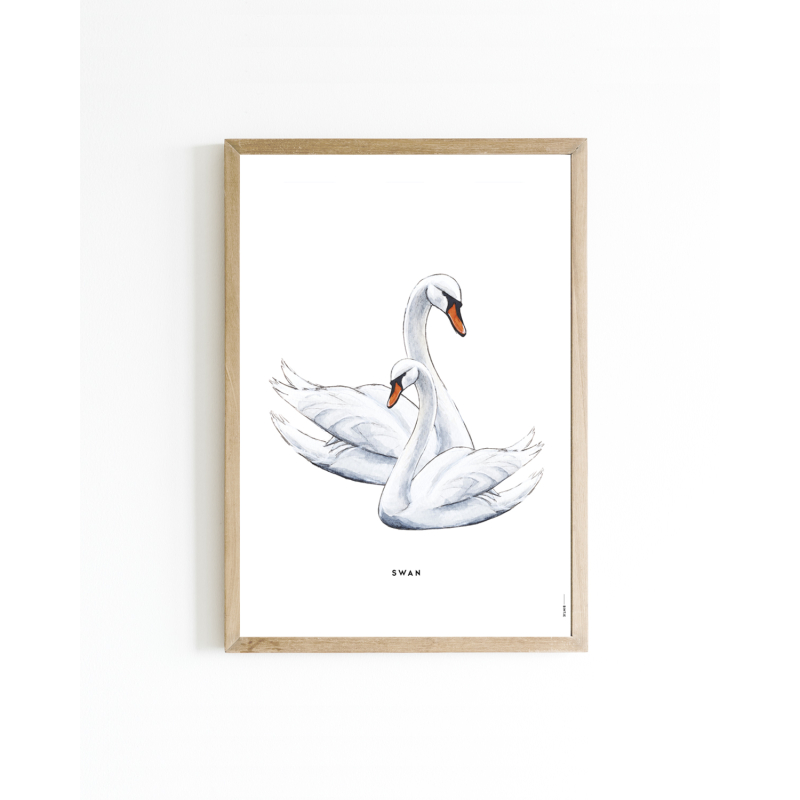 Mini poster Swan 15x20 6 st.